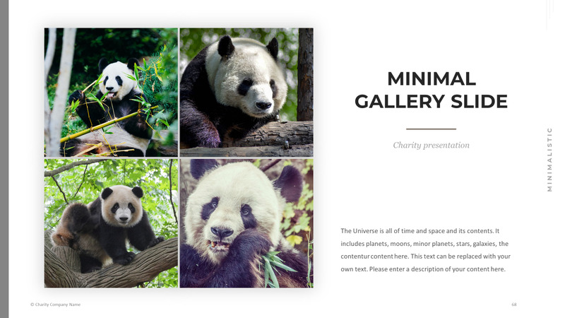 Modelo de PowerPoint de caridade animal - Features Image 68