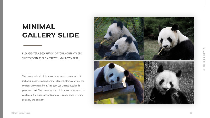 Modelo de PowerPoint de caridade animal - Features Image 69