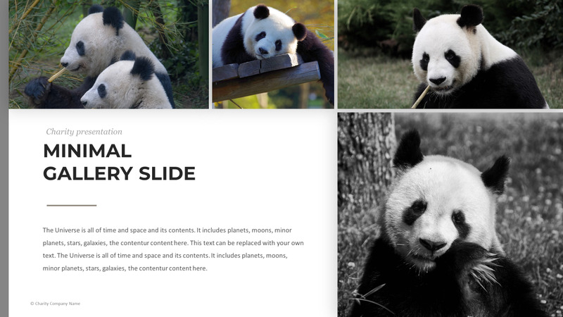 Modelo de PowerPoint de caridade animal - Features Image 70