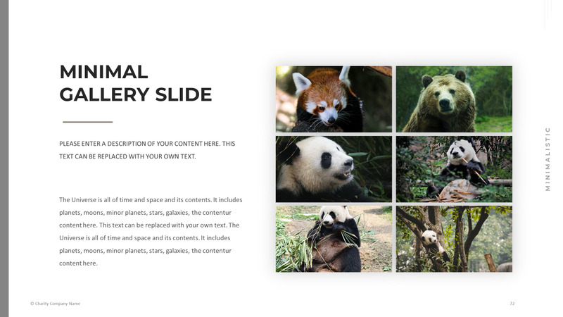 Modelo de PowerPoint de caridade animal - Features Image 72