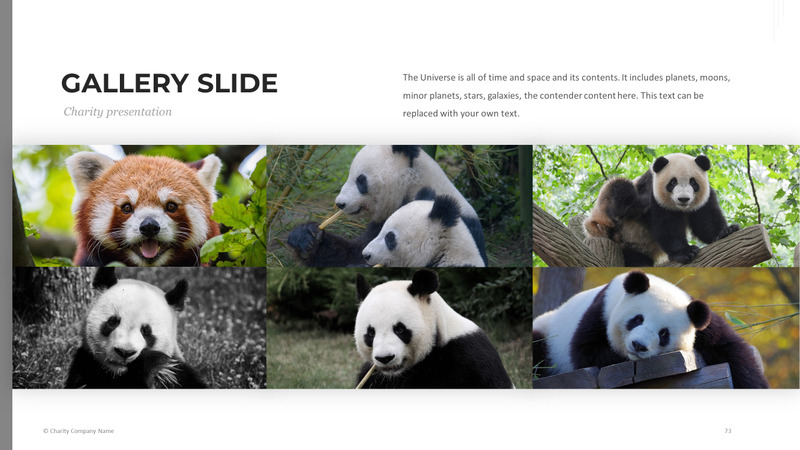 Modelo de PowerPoint de caridade animal - Features Image 73