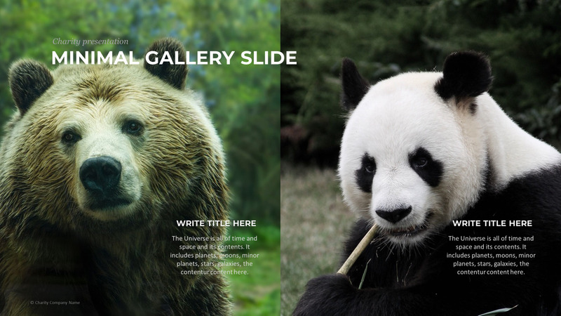 Modelo de PowerPoint de caridade animal - Features Image 76