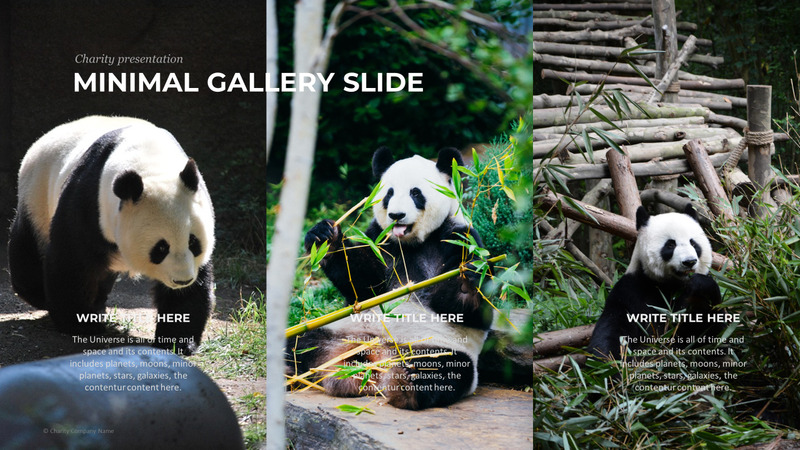 Modelo de PowerPoint de caridade animal - Features Image 77