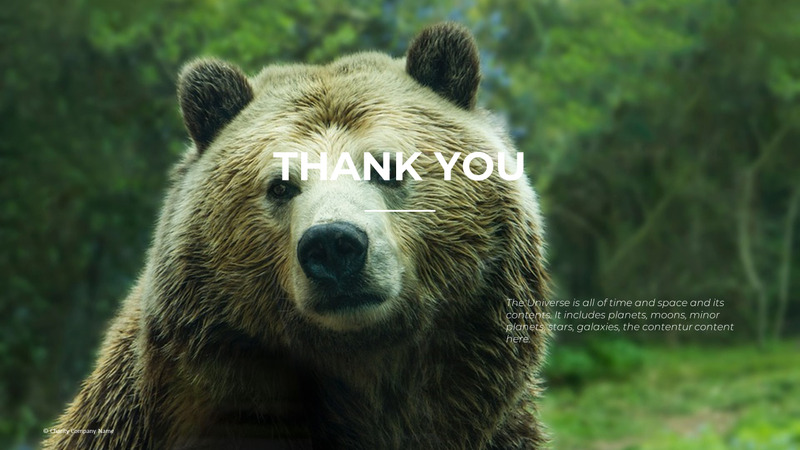 Modelo de PowerPoint de caridade animal - Features Image 85