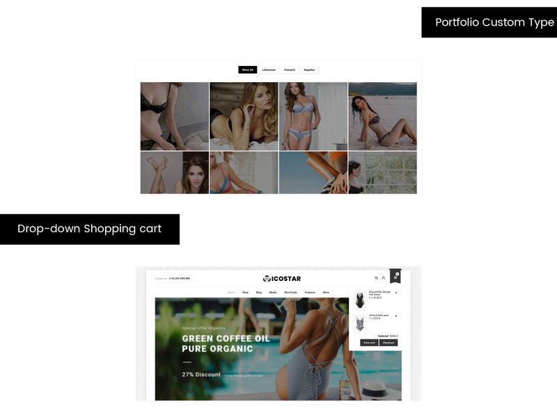 Icostar - Lingerie Store WooCommerce Theme - Features Image 4
