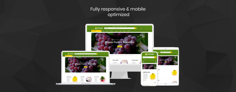 Gofresh - Grocery Store OpenCart Template - Features Image 1