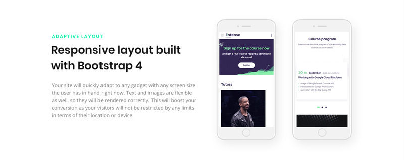 Kurs Lintense - Edukacja Szablon czystej strony docelowej HTML - Obraz funkcji 7