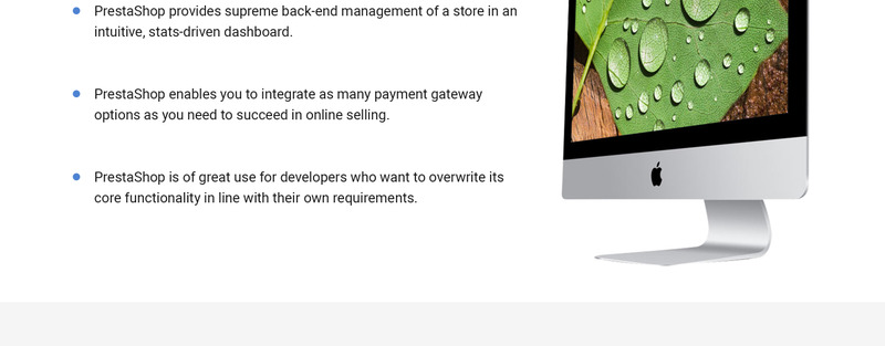 Тема Appleomb PrestaShop - Features Image 9