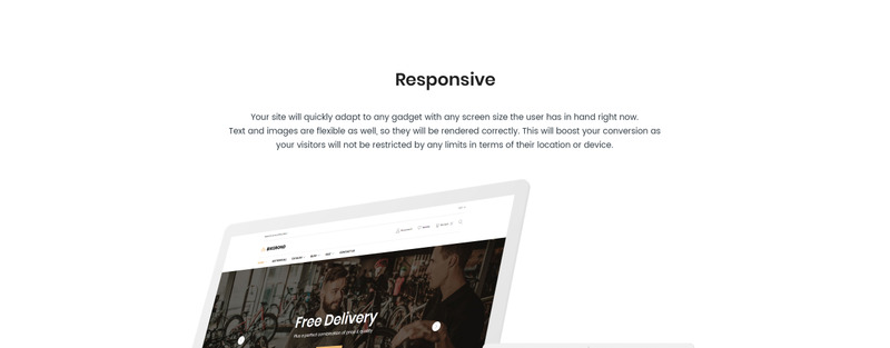 BikeRond - Bike Shop Responsive Shopify Theme - Features Image 1