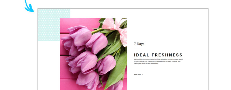 Thème PrestaShop Dreamy Flora - Features Image 13