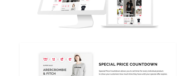 T-Shirts Direct - T-Shirt Shop OpenCart Template - Features Image 2