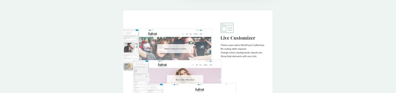 Aahva - Blogging WordPress Theme - Features Image 4