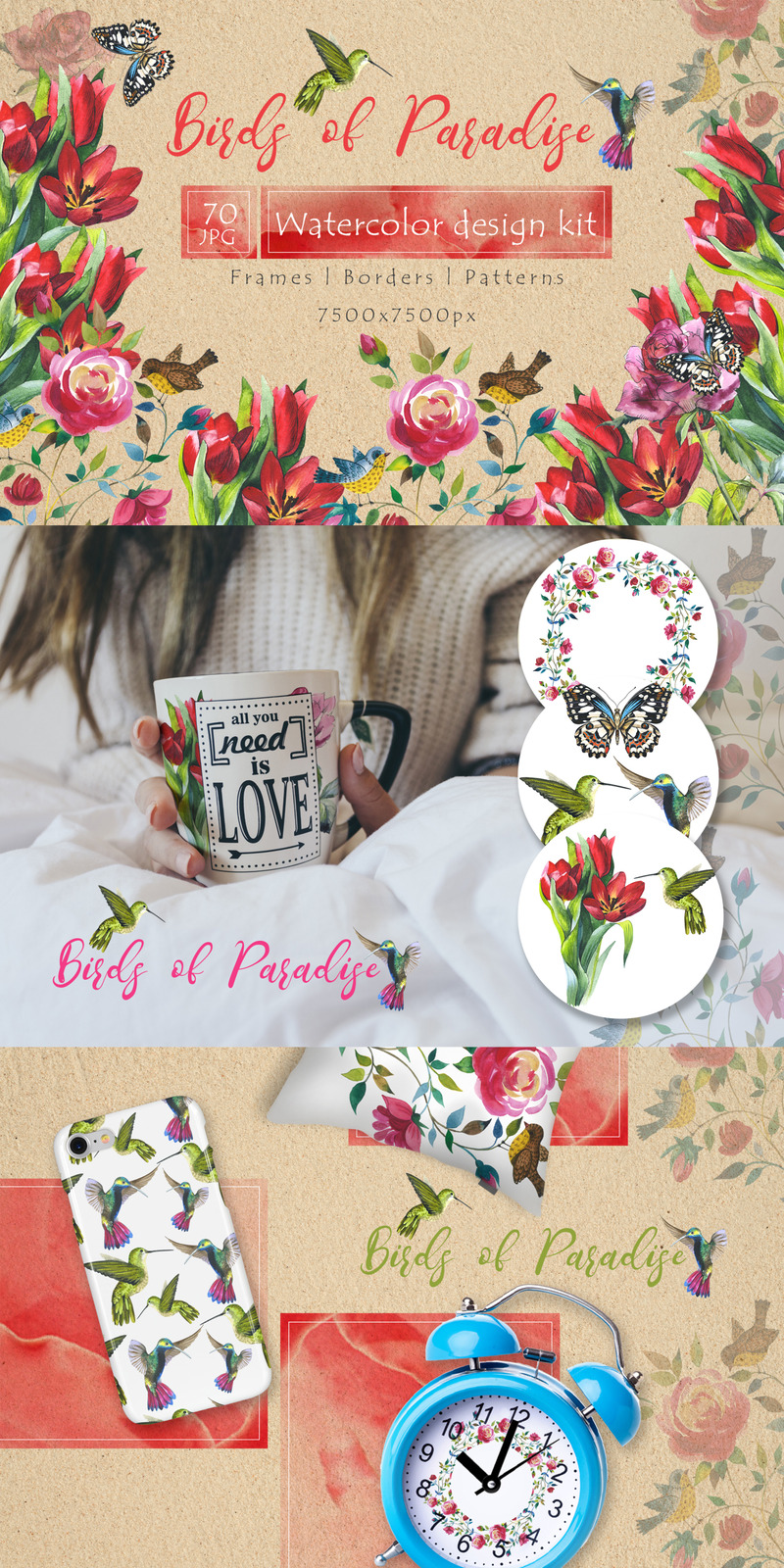 Oiseaux de paradis JPG aquarelle - Illustration - Caractéristiques de l’image 1