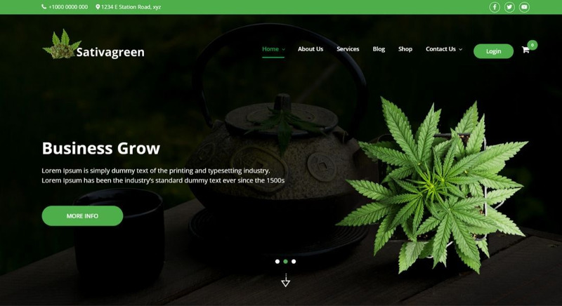 Sativagreen - Marijuana Medical WordPress Theme - Features Image 1