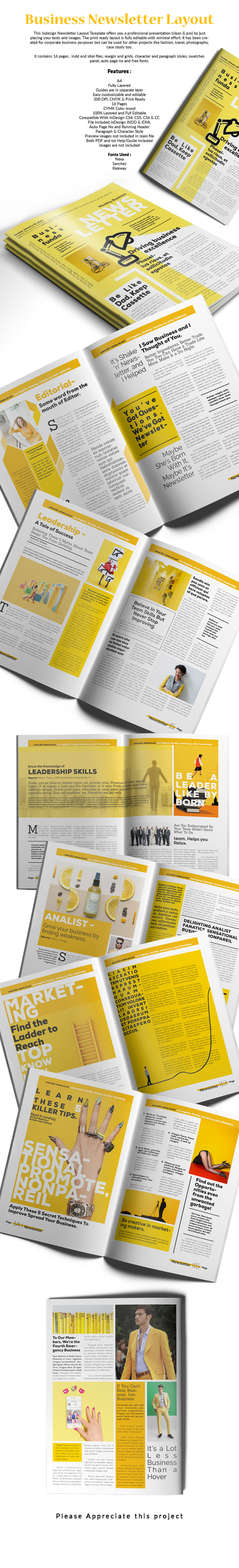 Business Newsletter Corporate Identity Template - Features Image 1