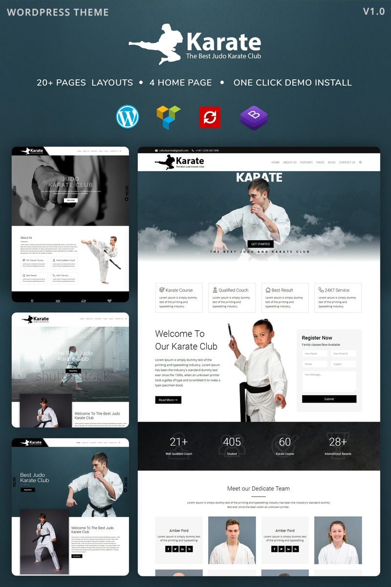 Karate Institute WordPress Theme - Features Image 1