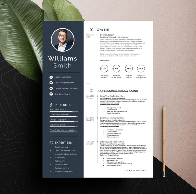 Clean & Professional Editable Cv Resume Template Word Apple Pages