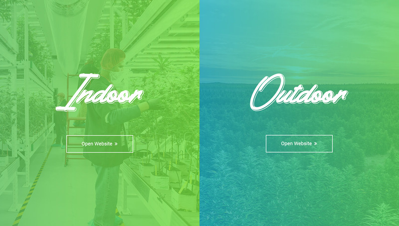 Responsive Weefly | Multipurpose Cannabis and Marijuana Shop Website Template Web Sitesi #109597 - 25 Görüntü Özellikleri