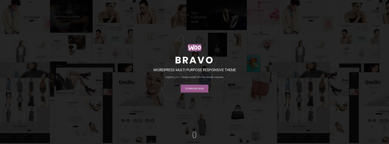 Bravo - Multi-Concept WooCommerce Theme - Features Image 1