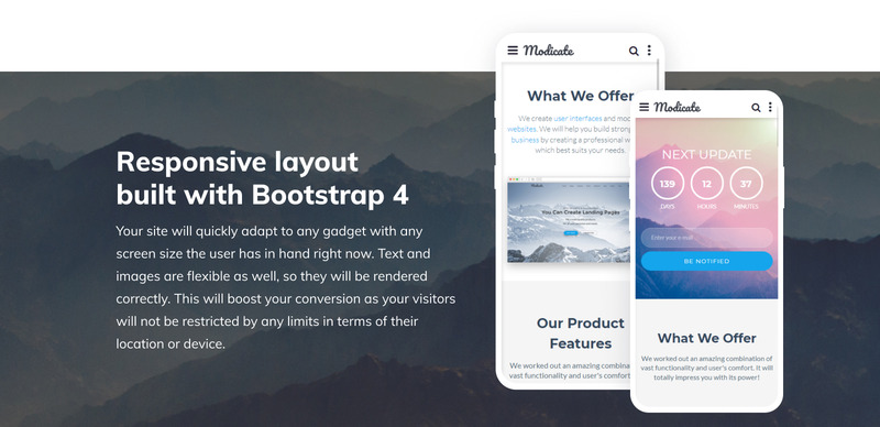 Modicate-Web Design Studio网站模板 - Features Image 5
