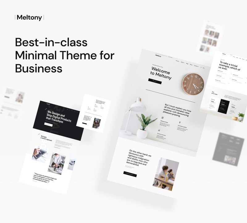 Meltony - Minimalist for Any Businesses WordPress Theme - Features Image 5