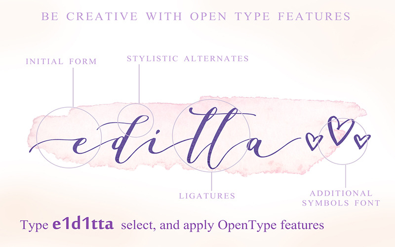 Donna Lucia Feminine Font + Cyrillic - Features Image 16