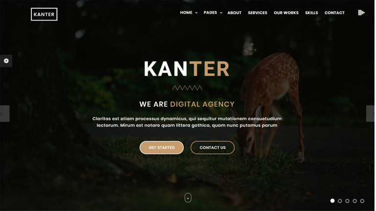 Kanter - Creative Responsive Minimalistic HTML Website Template