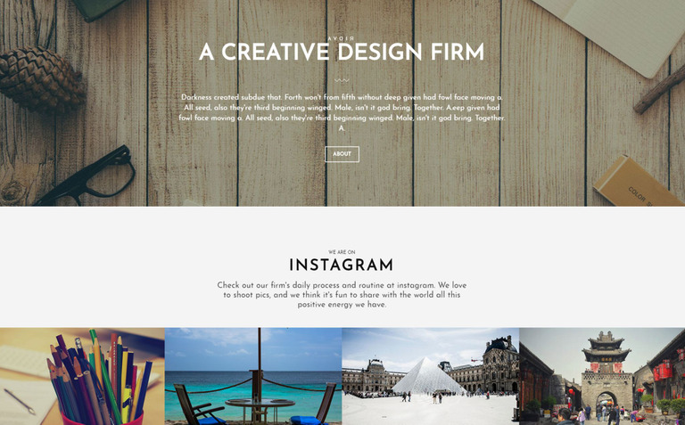  AVOIR Website Template