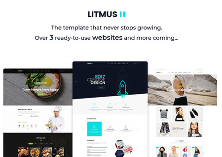Litmus - Creative Multipurpose
