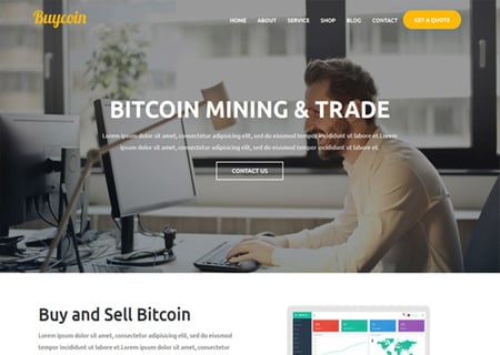 BuyCoin - Bitcoin And Cryptocurrency Responsive HTML