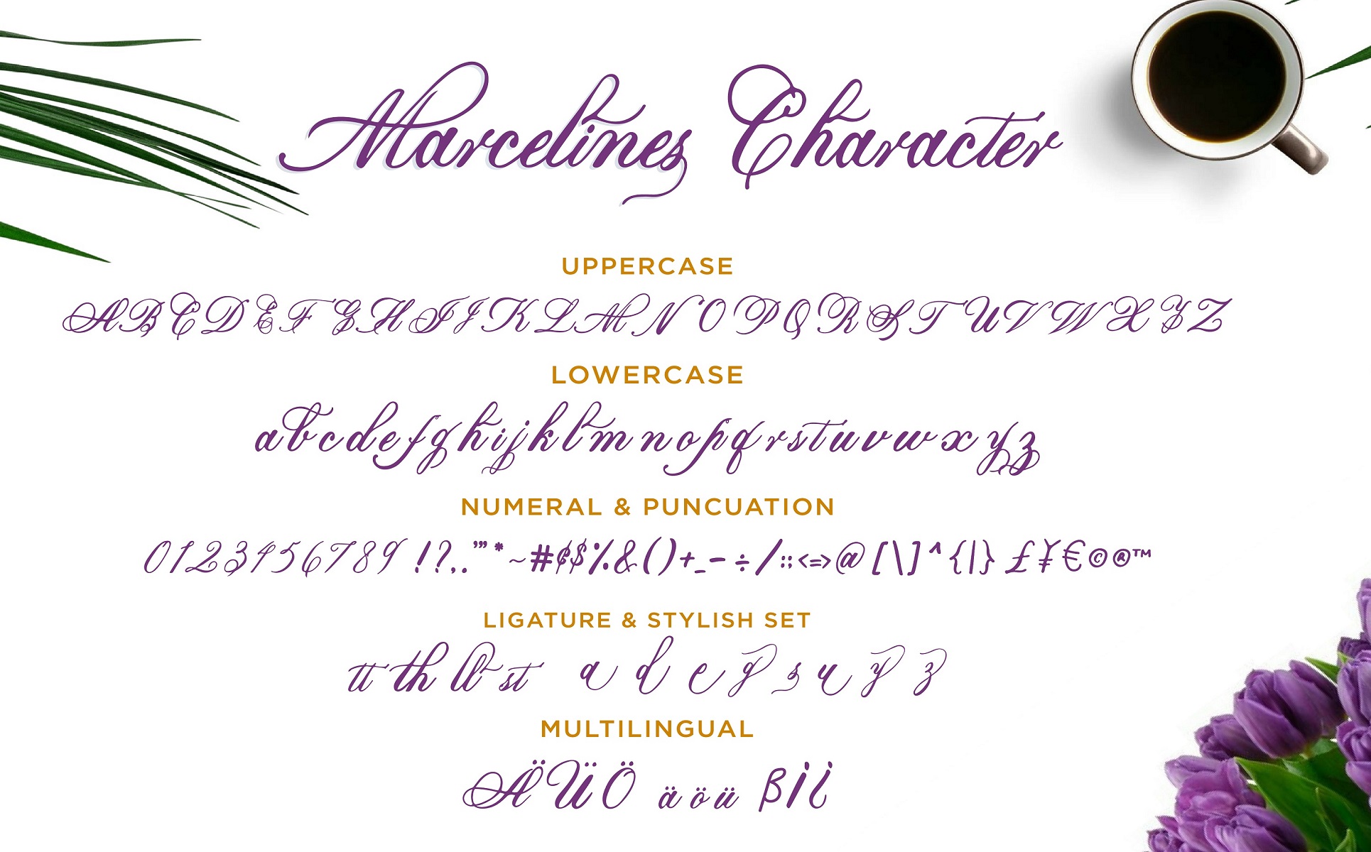 Download Шрифт "Marcelines A Modern Calligraphy Font" / Marcelines A Modern Calligraphy Font - Шрифт на тему графика beautiful font,branding font,calligraphy font,classy font,elegant font,fashion font,feminine font,handwriting font,handwritten font,lettering font,logo font,luxury font,minimalist font,modern