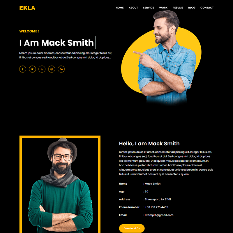 шаблон целевой страницы личного портфолио ekla