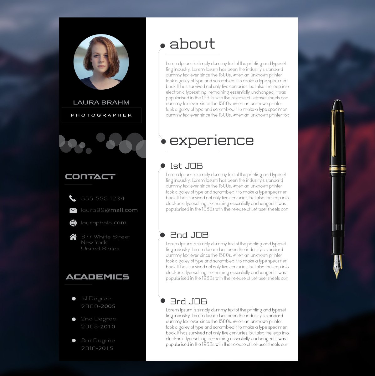 Professional Premium CV Resume Template